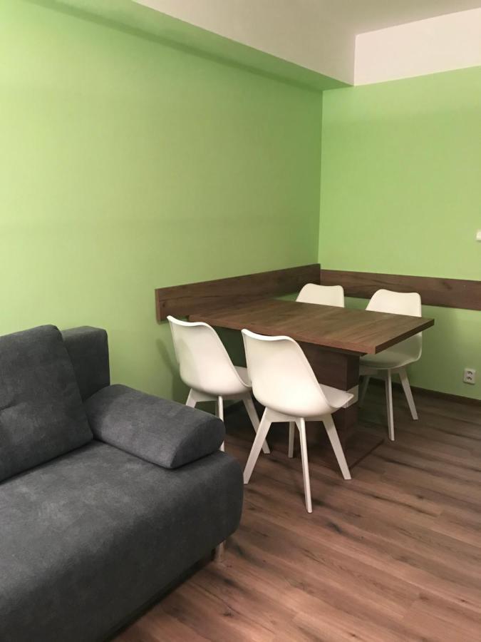 Apartamento Krušné hory - Klínovec 2 km- Jáchymov 2-4 osoby Exterior foto