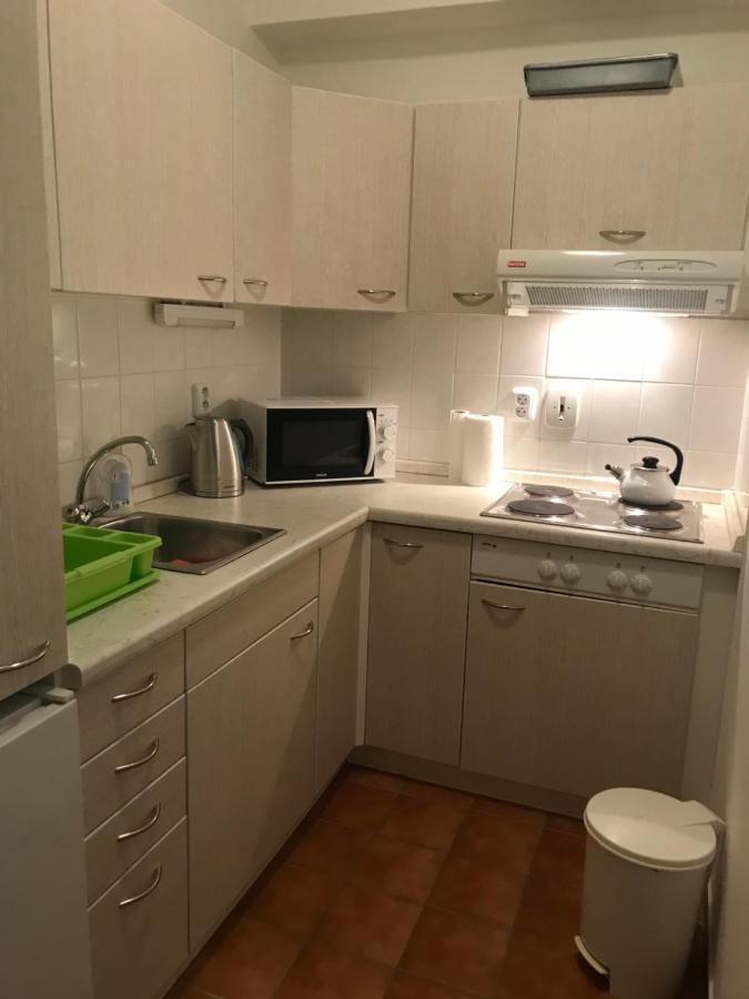 Apartamento Krušné hory - Klínovec 2 km- Jáchymov 2-4 osoby Exterior foto