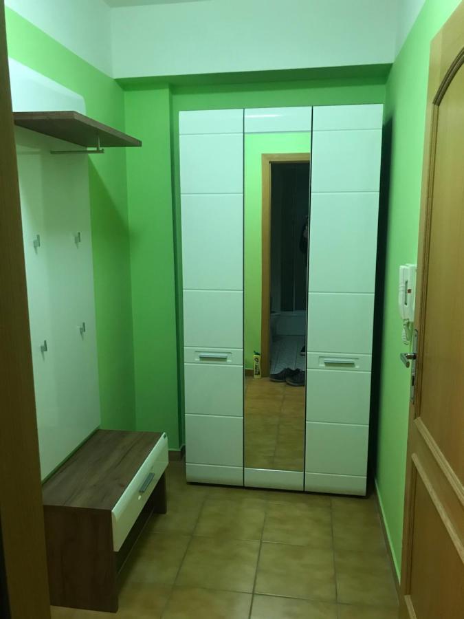 Apartamento Krušné hory - Klínovec 2 km- Jáchymov 2-4 osoby Exterior foto